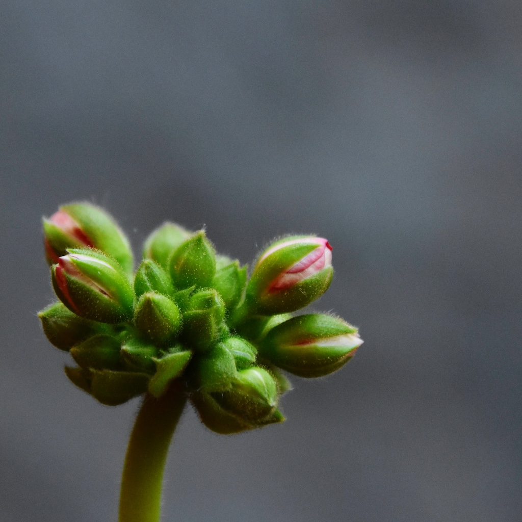 image of construction meetings